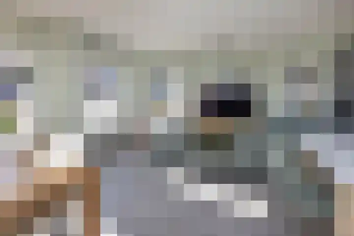 Hooidijk 15 a Vasse thumbnail 10