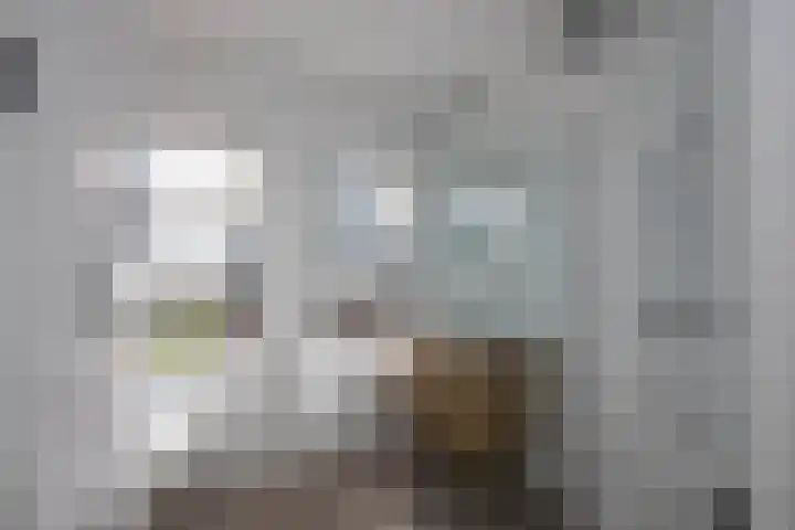 Hooidijk 15 a Vasse thumbnail 17