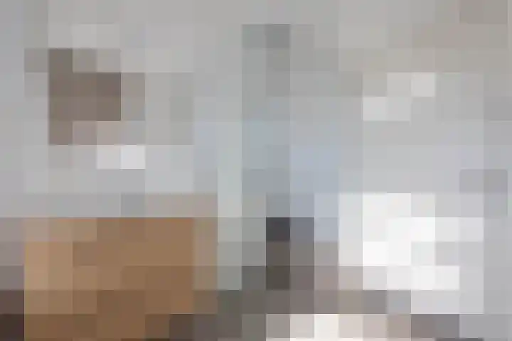 Hooidijk 15 a Vasse thumbnail 18