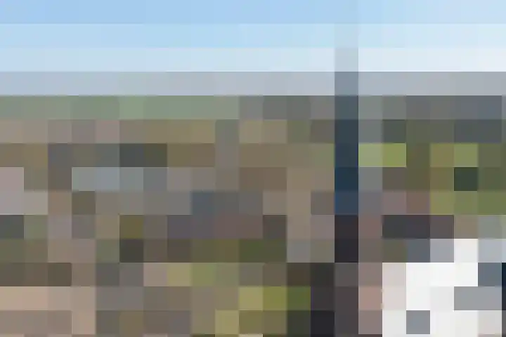 Hooidijk 15 a Vasse thumbnail 23