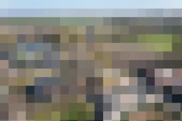Hooidijk 15 a Vasse thumbnail 4
