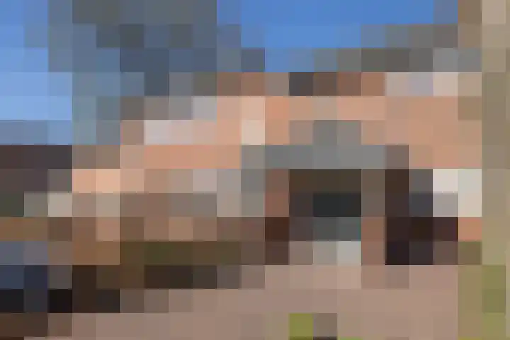 Hooidijk 15 a Vasse thumbnail 5