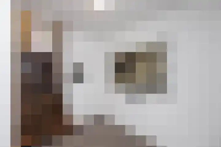 Hooidijk 15 a Vasse thumbnail 6