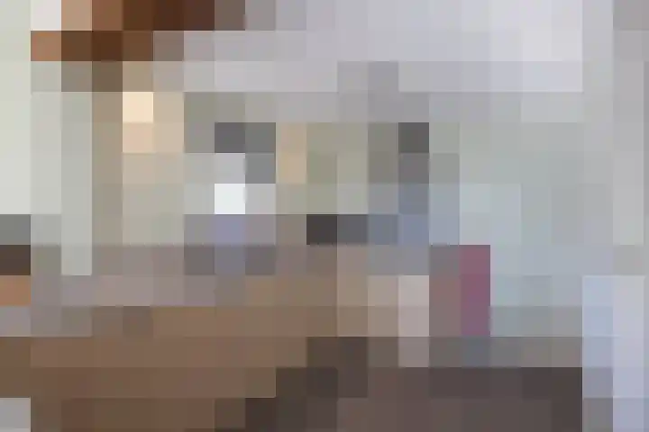 Hooidijk 15 a Vasse thumbnail 7