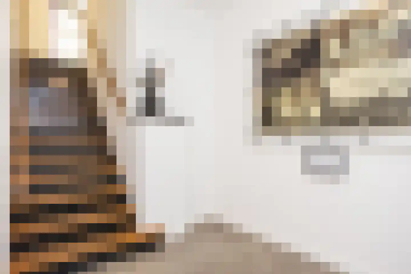Hooidijk 15 d Vasse thumbnail 10