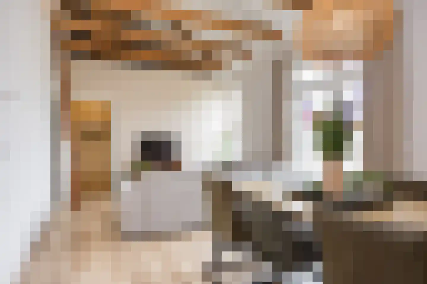 Hooidijk 15 d Vasse thumbnail 17