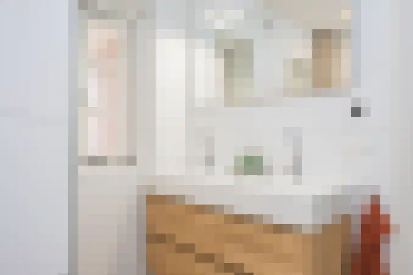 Hooidijk 15 d Vasse thumbnail 27