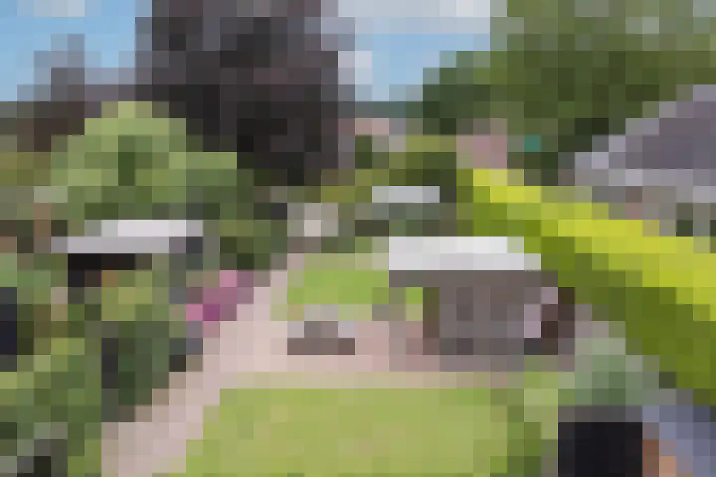 Hooidijk 15 d Vasse thumbnail 31