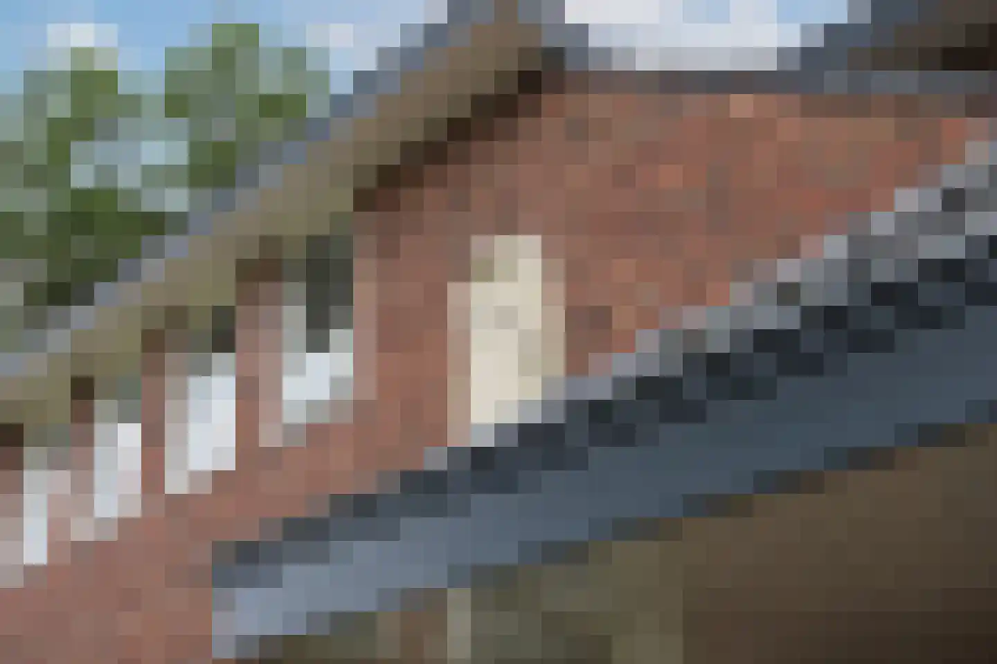 Hooidijk 15 d Vasse thumbnail 6
