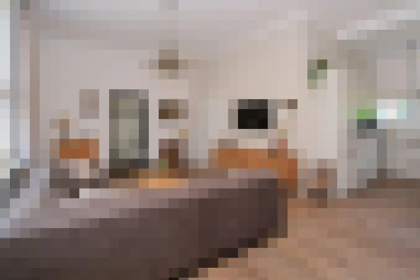Hooidijk 15 e Vasse thumbnail 10