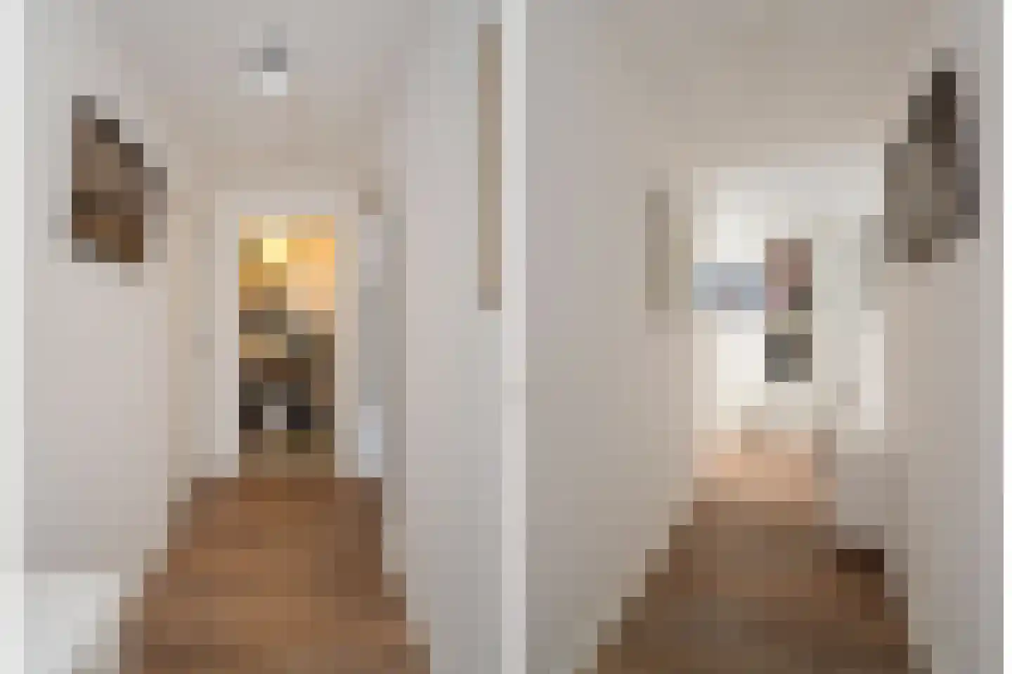 Hooidijk 15 e Vasse thumbnail 14