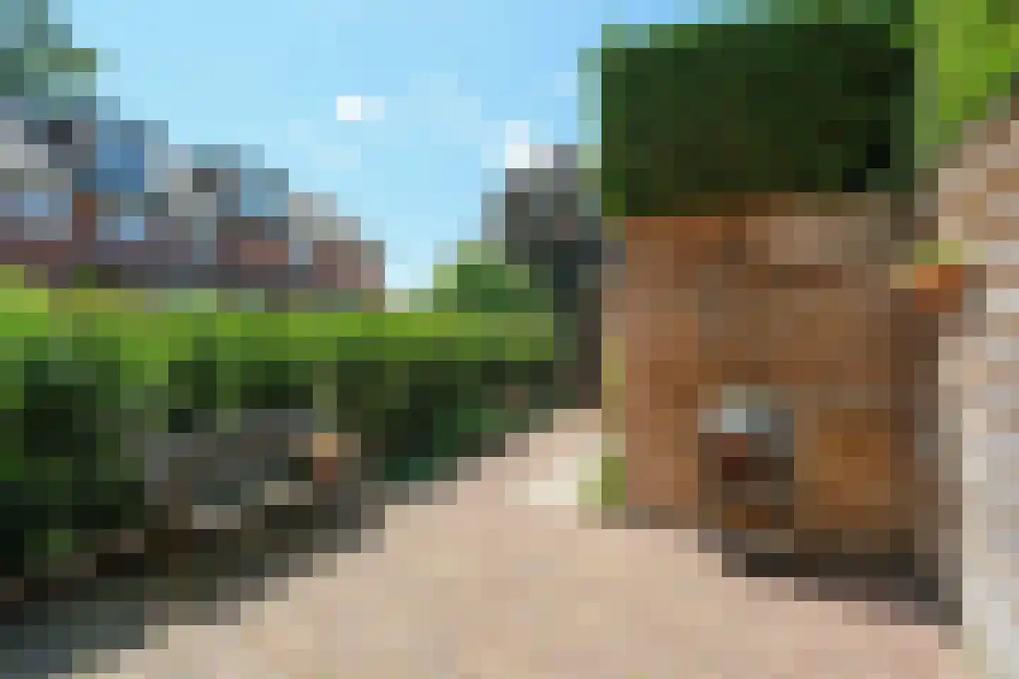 Hooidijk 15 e Vasse thumbnail 26