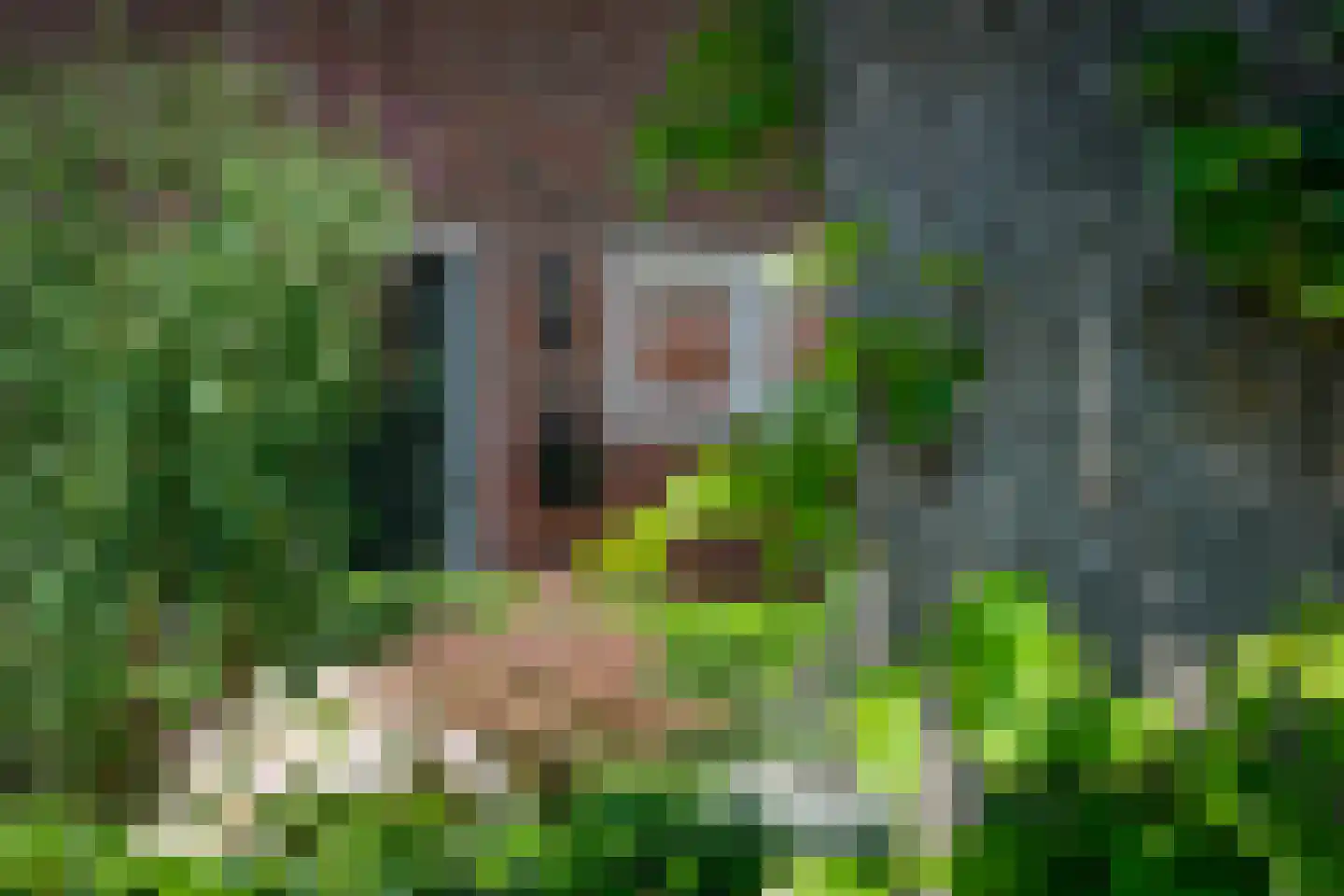 Hooidijk 15 e Vasse thumbnail 34