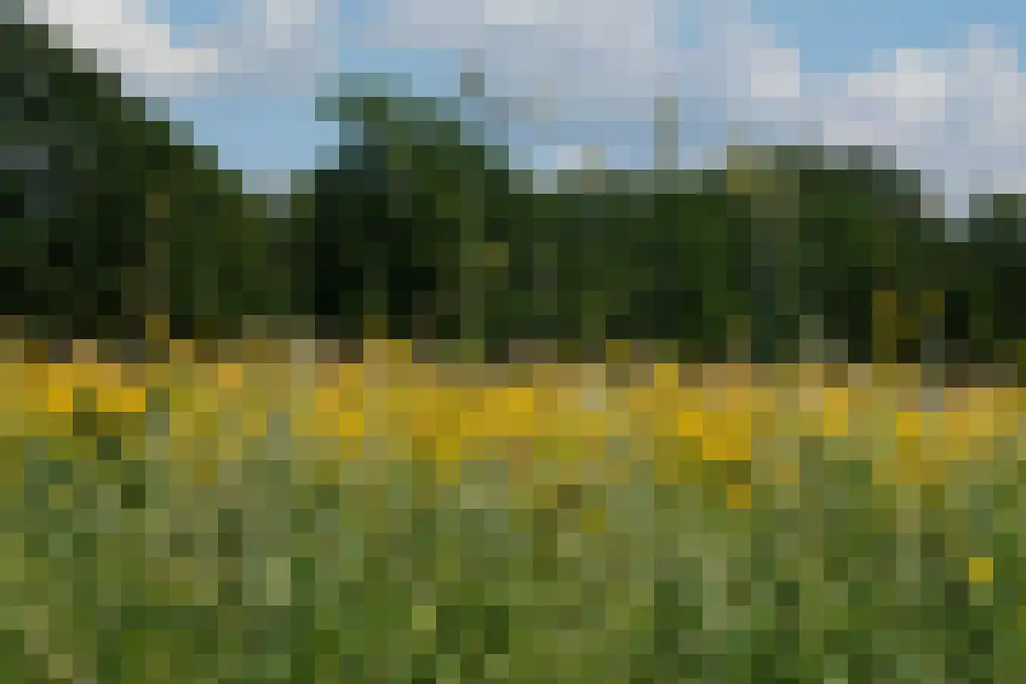 Hooidijk 15 e Vasse thumbnail 39