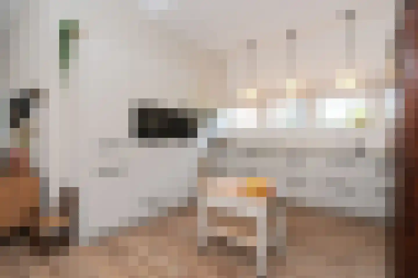 Hooidijk 15 e Vasse thumbnail 7