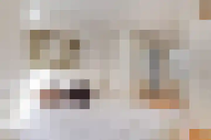 Hooidries 44 Heusden thumbnail 16