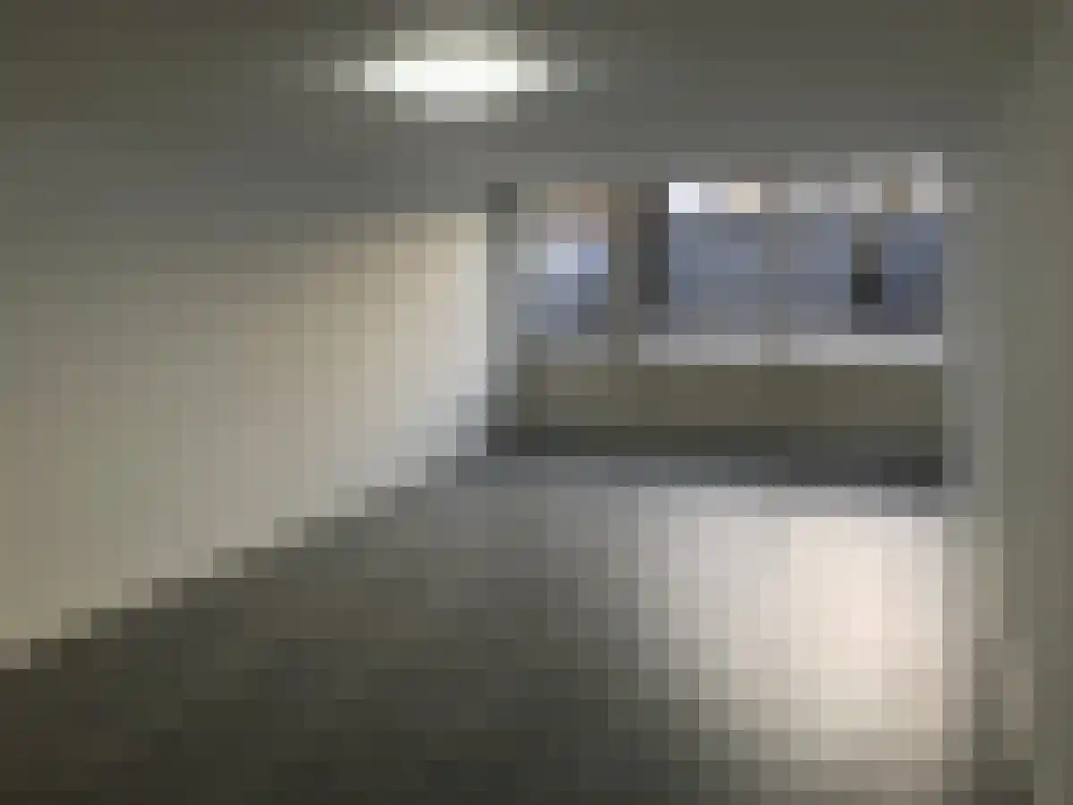 Hooidrift 116 Rotterdam thumbnail 5