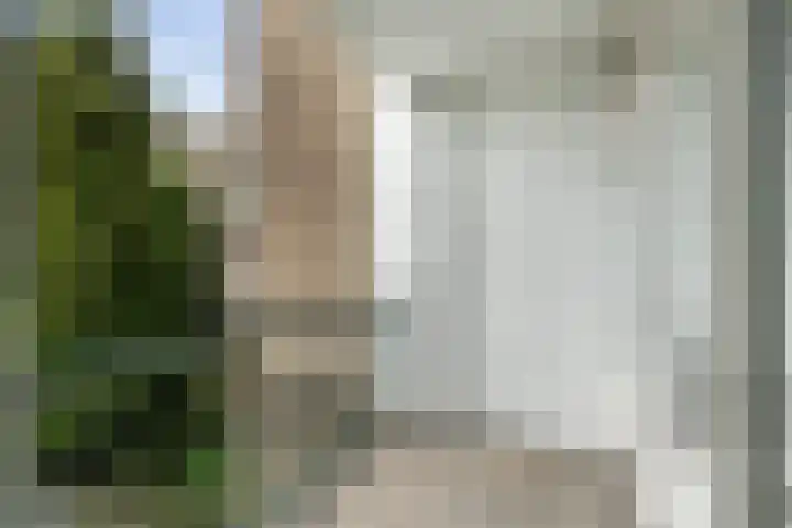 Hooidrift 137 A Rotterdam thumbnail 9