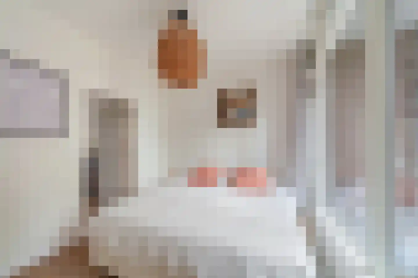 Hooidrift 143 B Rotterdam thumbnail 17