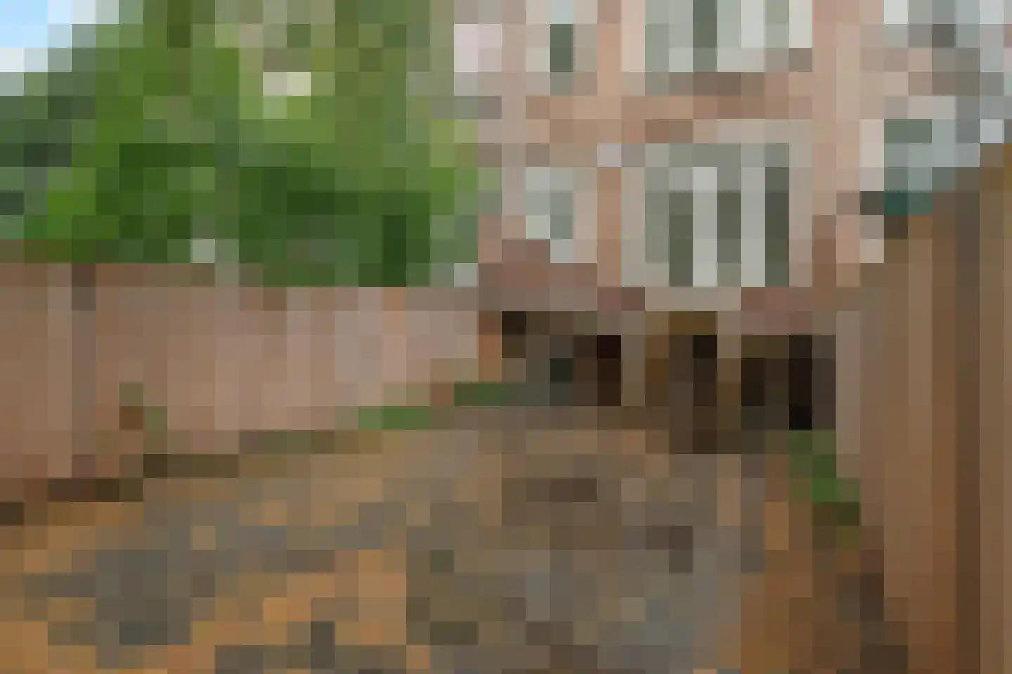 Hooidrift 149 B Rotterdam thumbnail 15