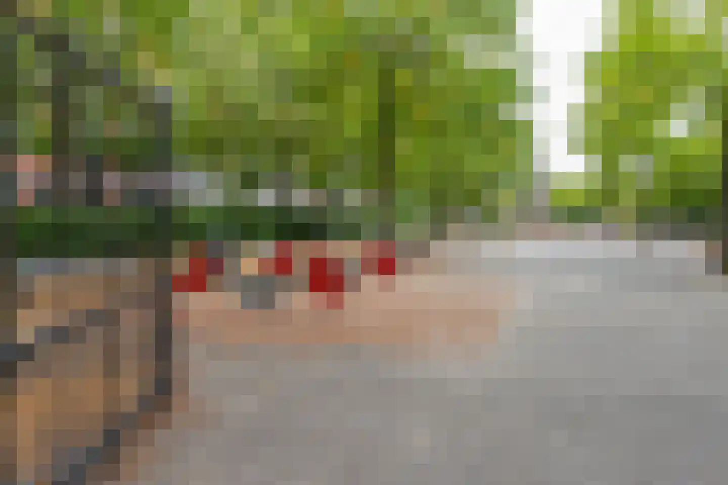 Hooidrift 15 C Rotterdam thumbnail 24