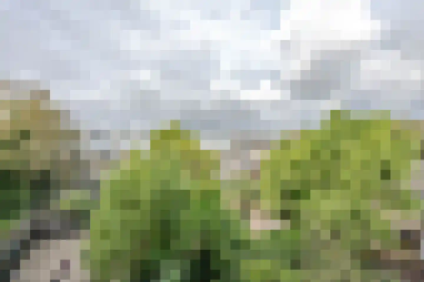 Hooidrift 15 D Rotterdam thumbnail 15