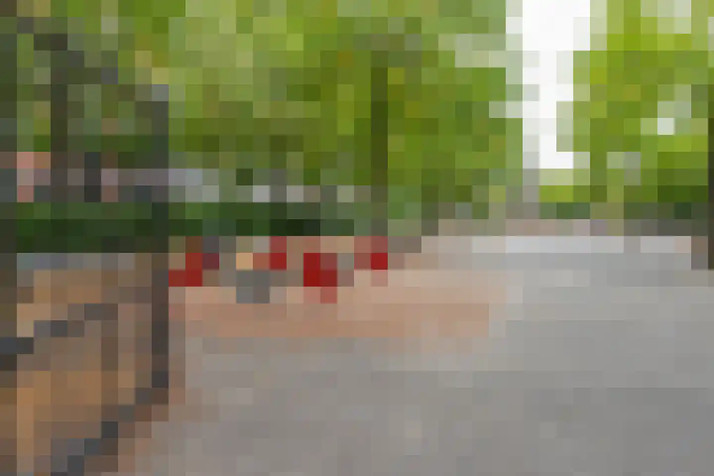 Hooidrift 15 D Rotterdam thumbnail 18