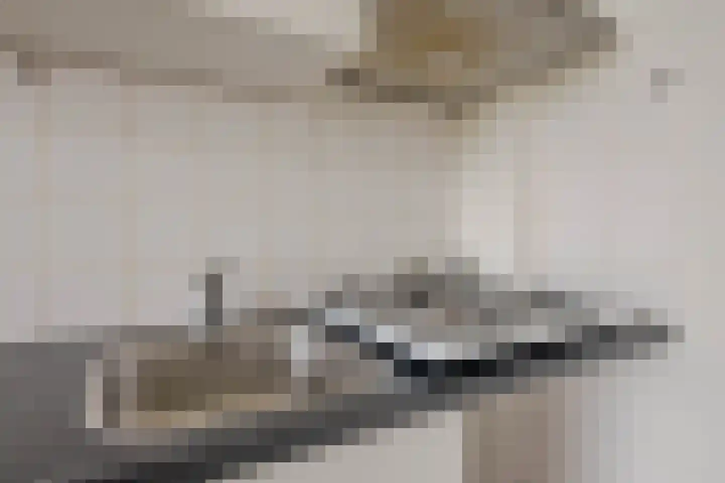 Hooidrift 15 D Rotterdam thumbnail 9