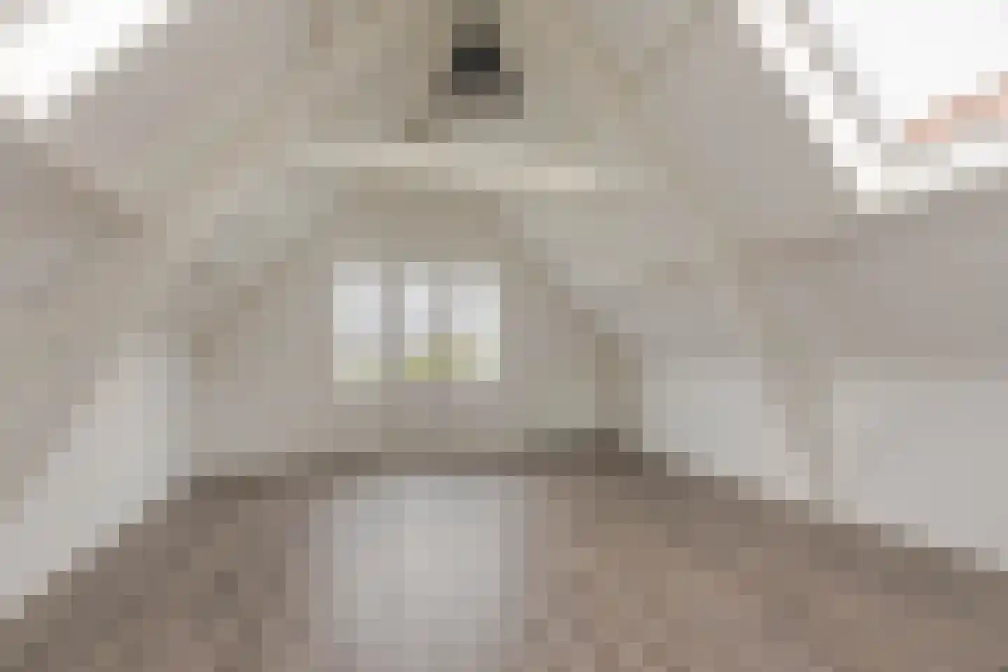 Hooidrift 15 E Rotterdam thumbnail 9