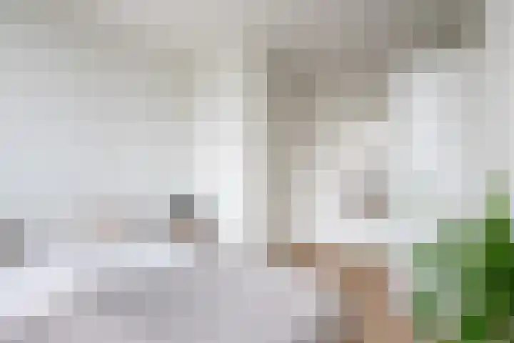 Hooidrift 153 B Rotterdam thumbnail 12