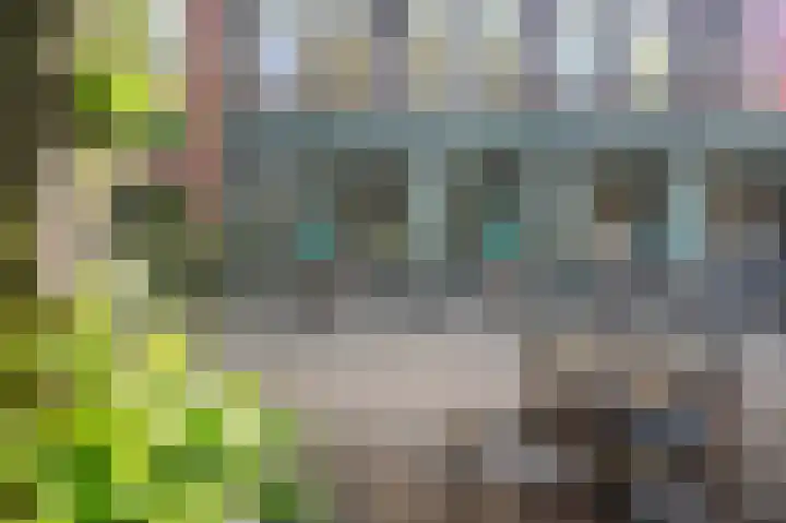 Hooidrift 153 B Rotterdam thumbnail 16
