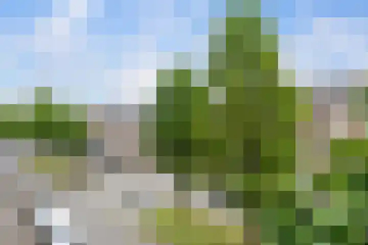 Hooidrift 153 B Rotterdam thumbnail 18