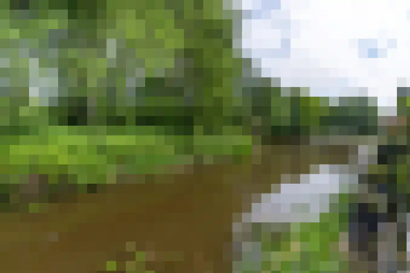 Hooiersweide 95 Nieuwegein thumbnail 12