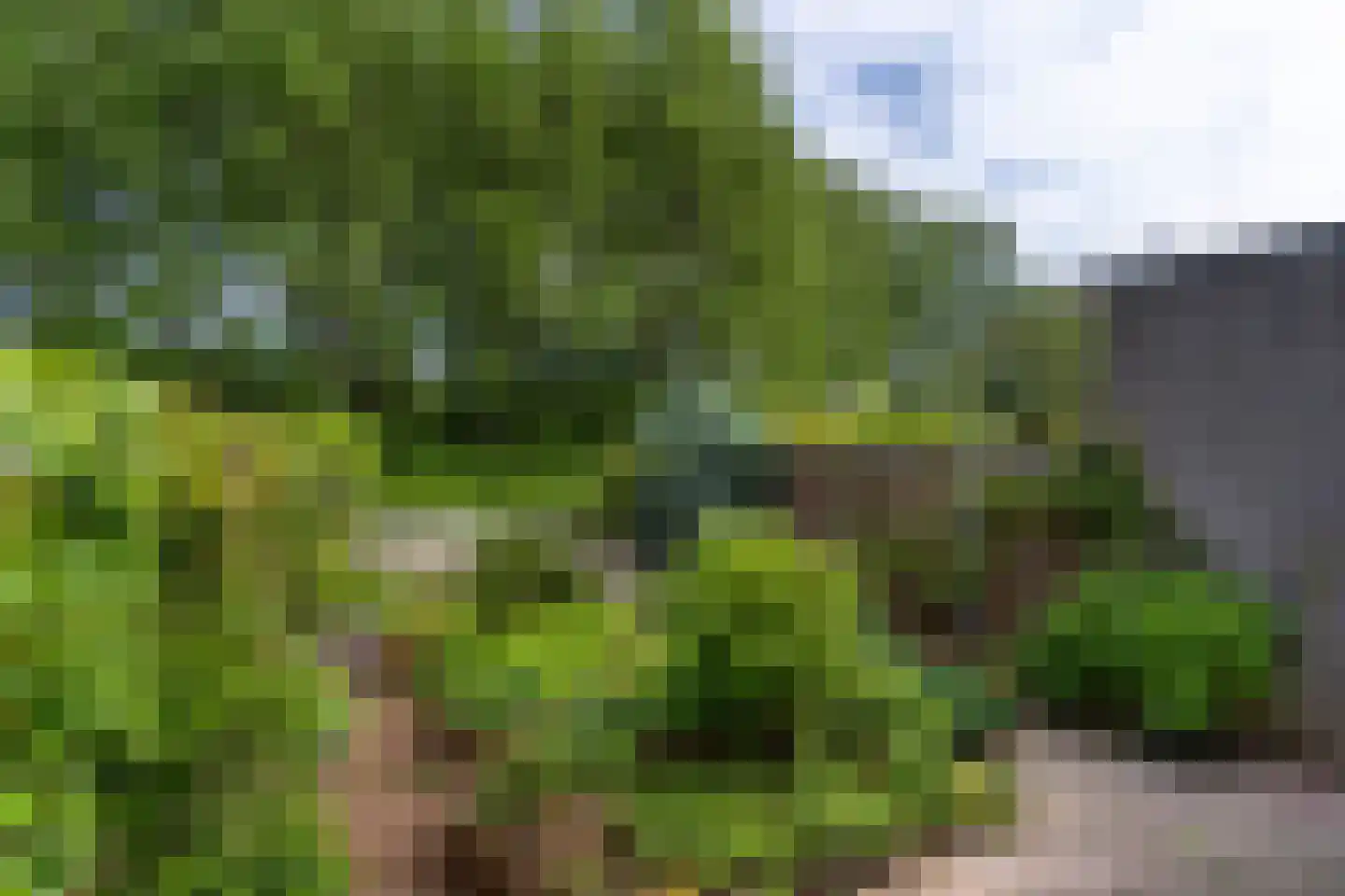 Hooiersweide 95 Nieuwegein thumbnail 8