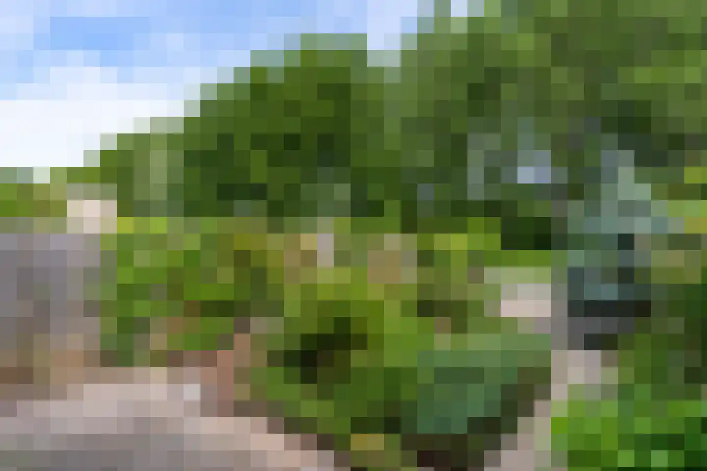 Hooiersweide 95 Nieuwegein thumbnail 9