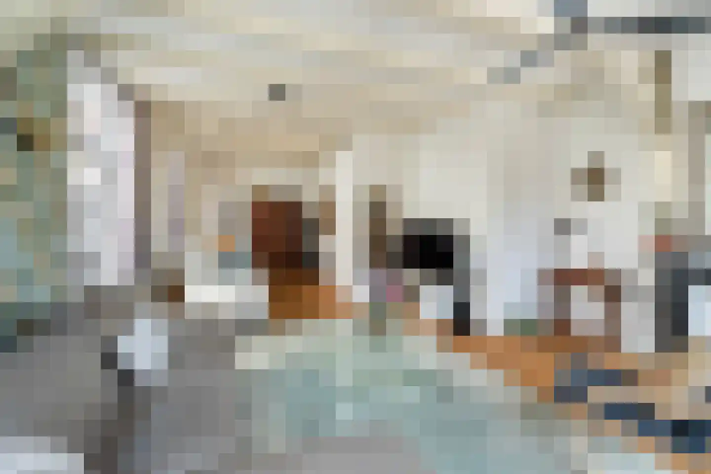 Hooigracht 47 Leiden thumbnail 6