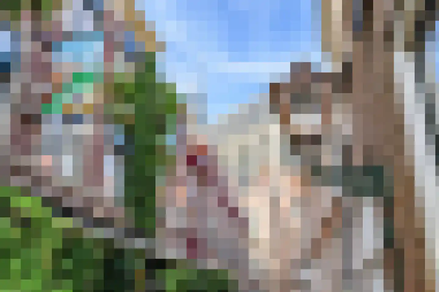Hooigracht 67 F Leiden thumbnail 32