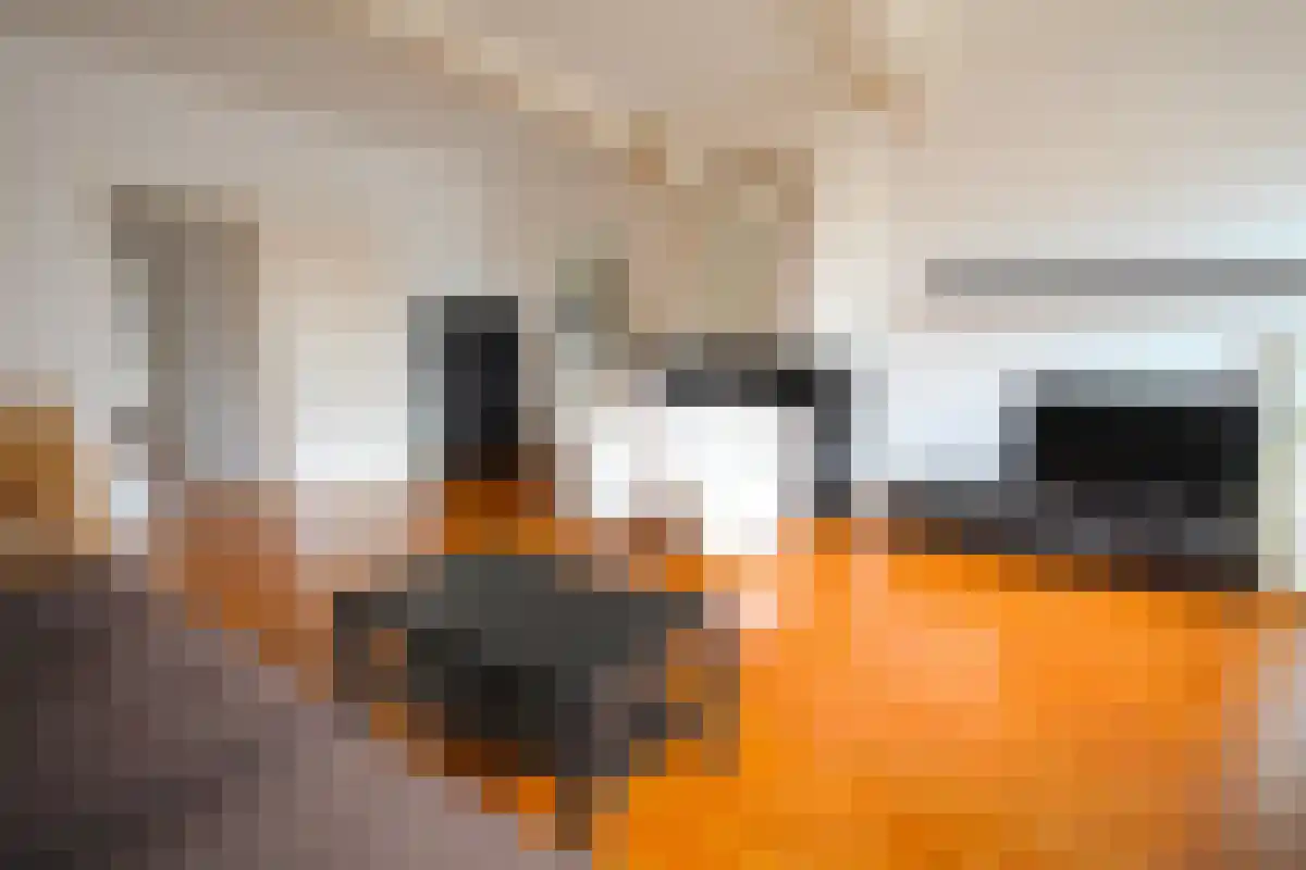 Hooigracht Leiden thumbnail 4