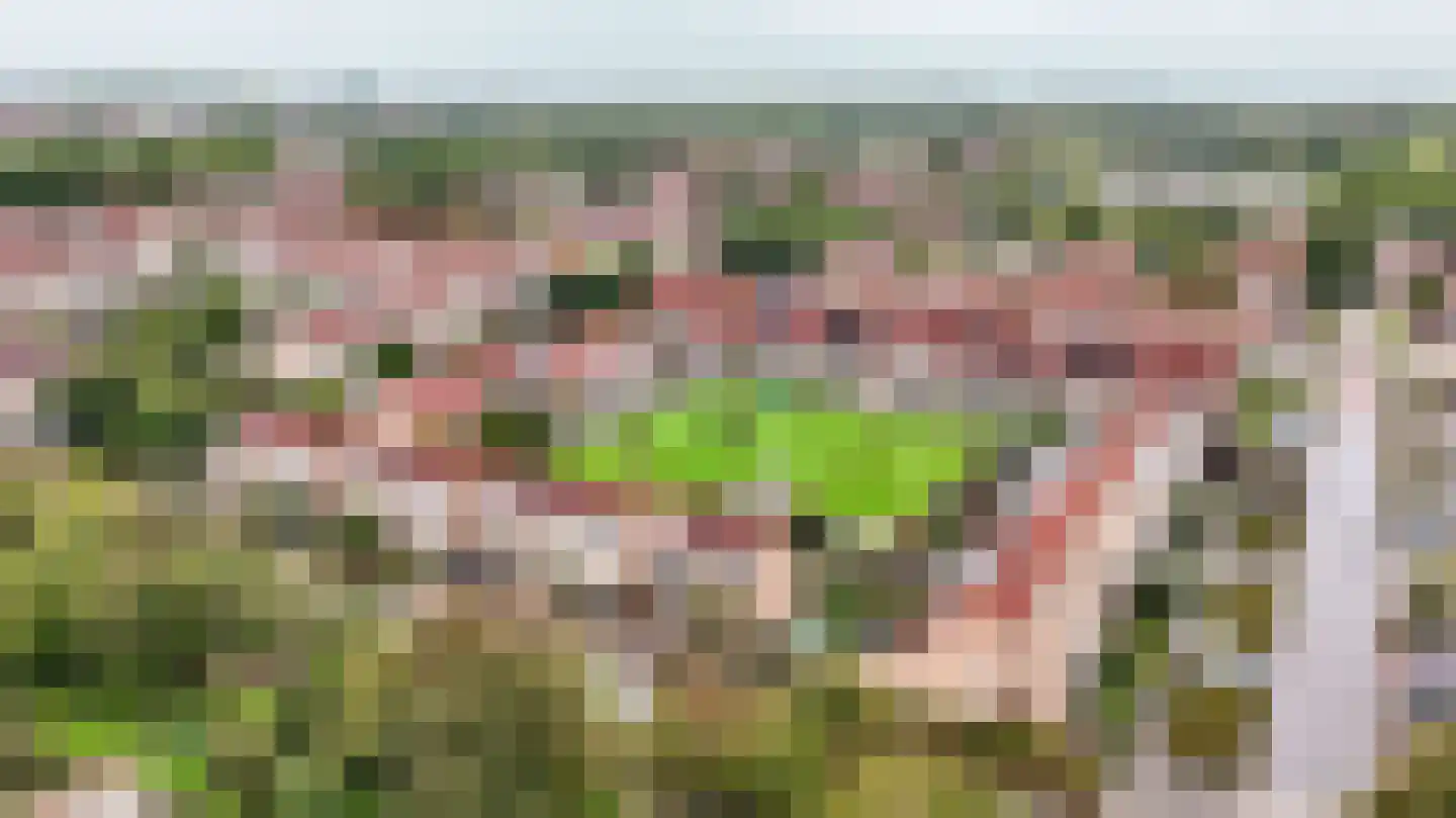 Hooigrasveld 33 Almere thumbnail 33