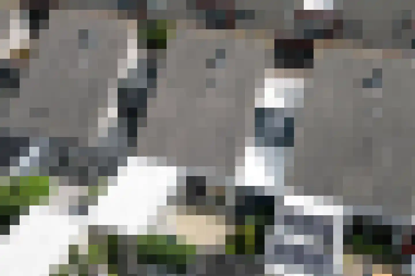 Hooihark 20 Soest thumbnail 32