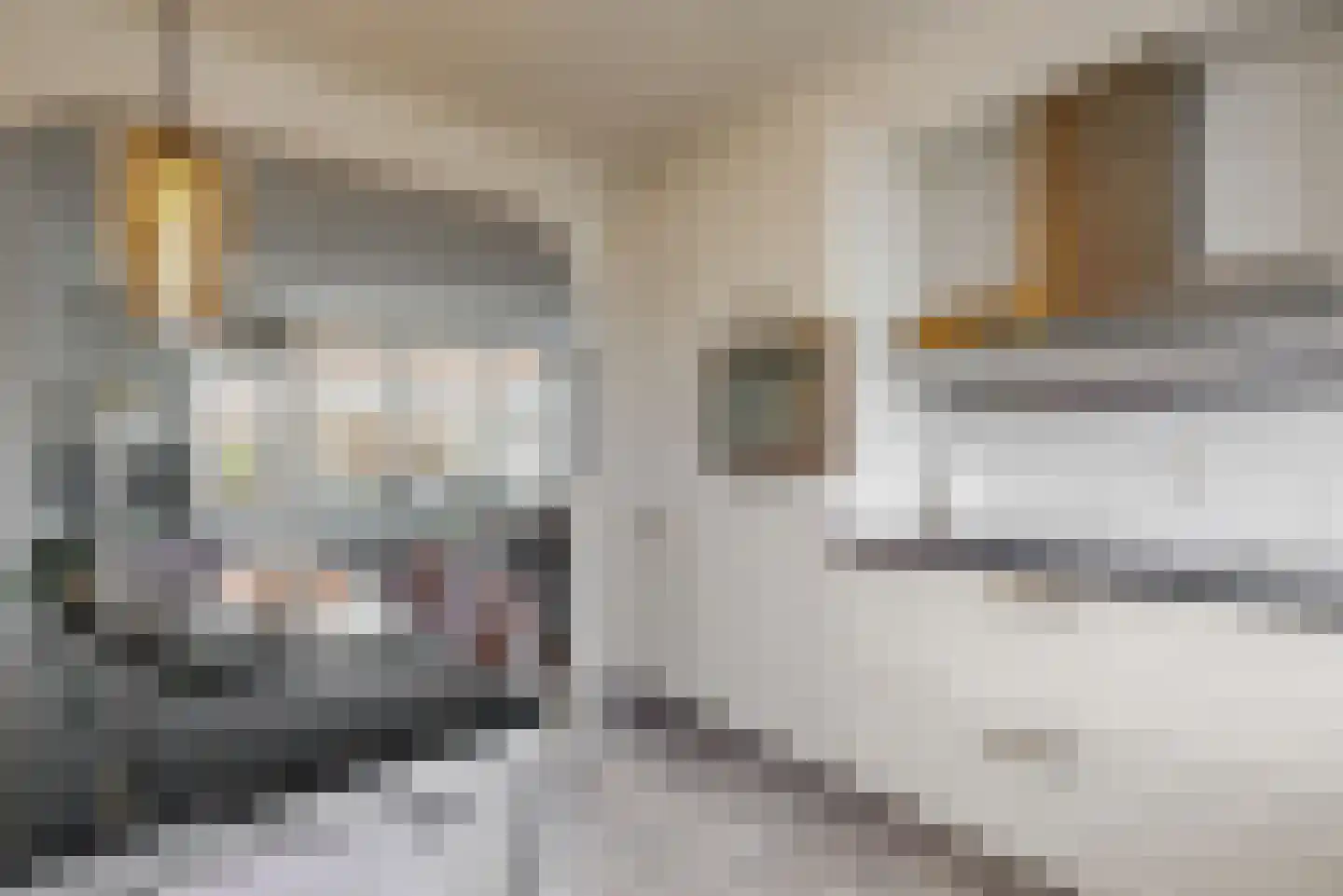 Hooiijzer 13 Oostzaan thumbnail 10