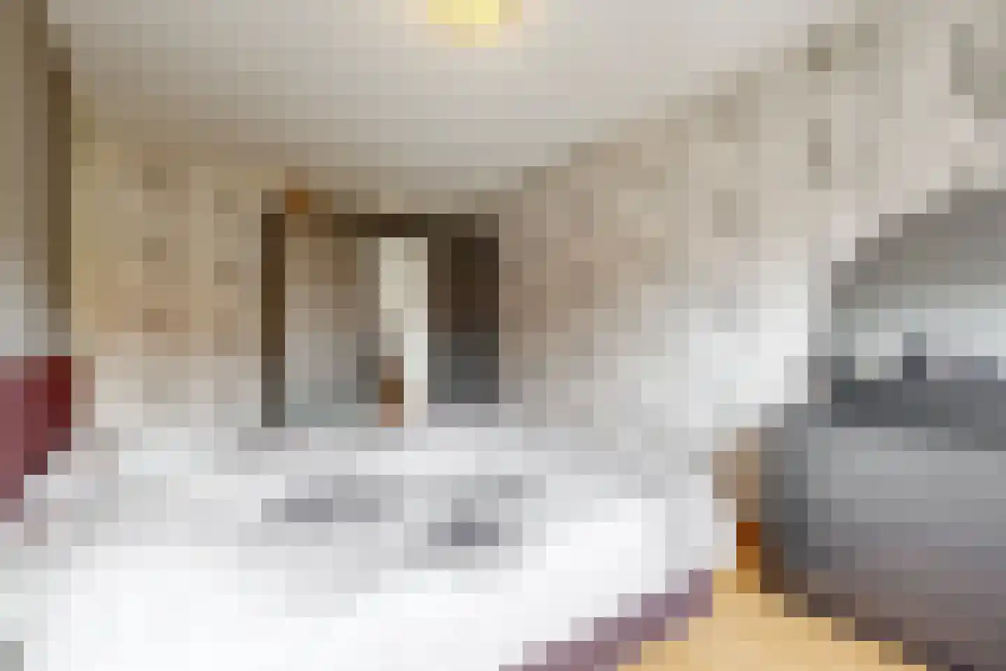 Hooiijzer 13 Oostzaan thumbnail 18