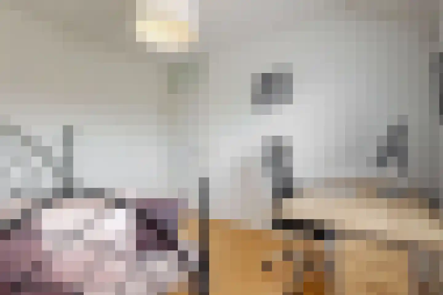 Hooiijzer 13 Oostzaan thumbnail 22