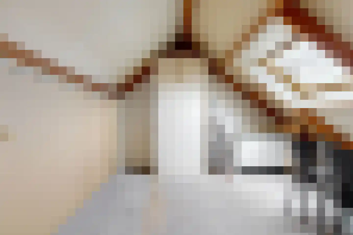 Hooiijzer 13 Oostzaan thumbnail 23