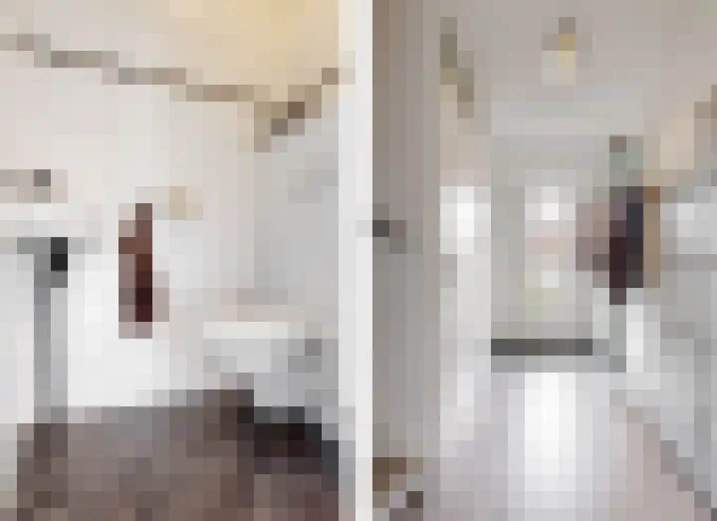Hooiijzer 13 Oostzaan thumbnail 6