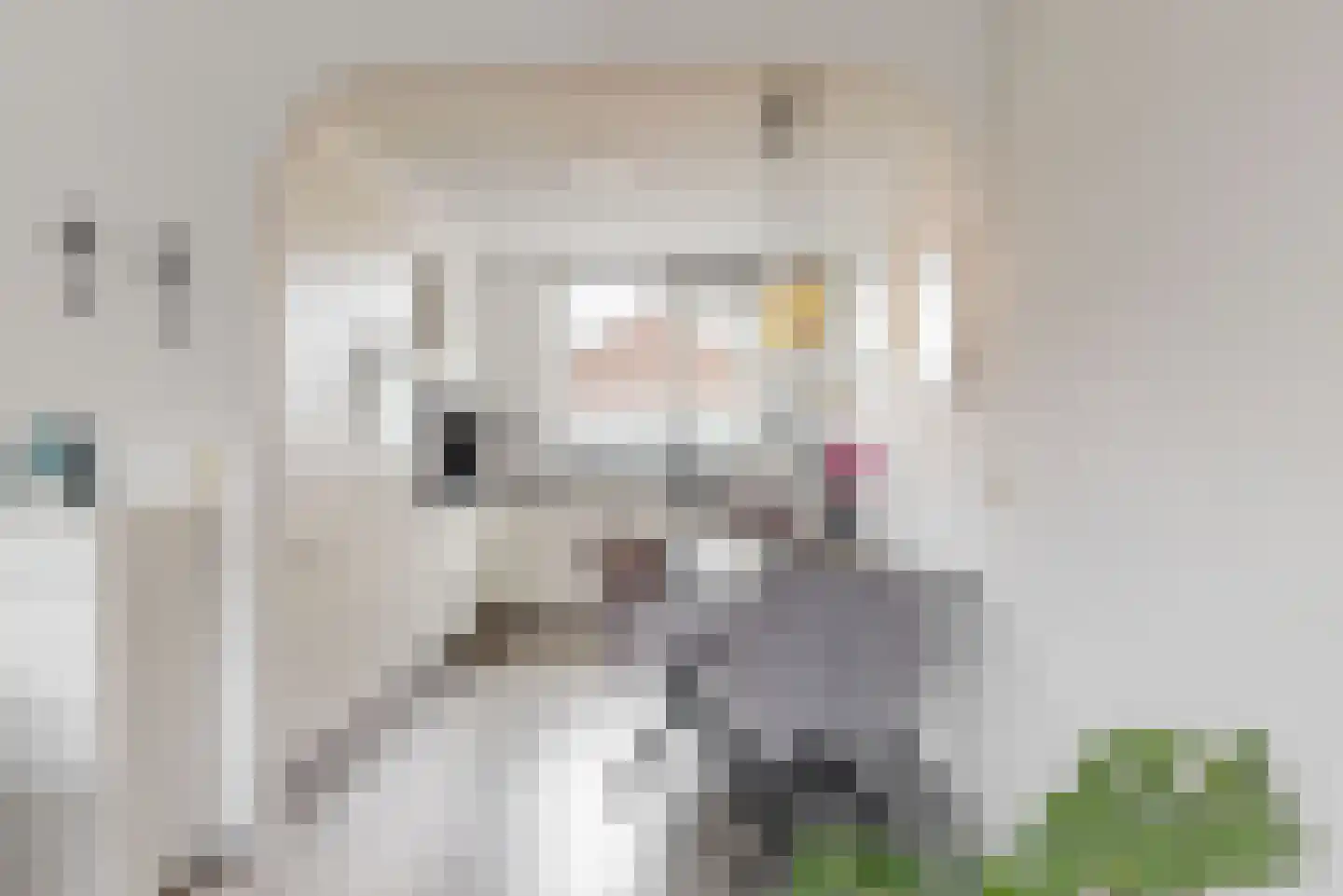 Hooiijzer 13 Oostzaan thumbnail 9