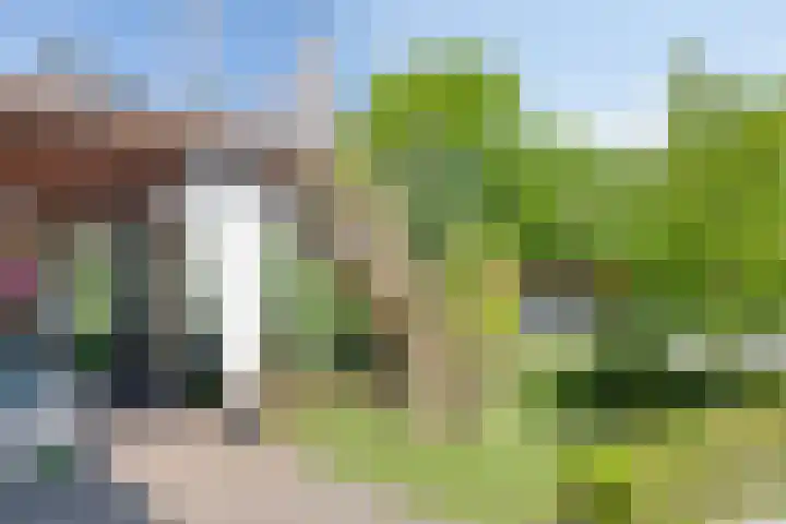Hooijdonkseweg 4 Breda thumbnail 10