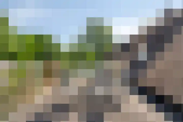 Hooijdonkseweg 4 Breda thumbnail 11