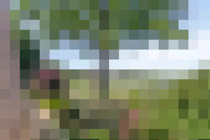 Hooijdonkseweg 4 Breda thumbnail 13