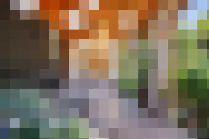 Hooijdonkseweg 4 Breda thumbnail 14